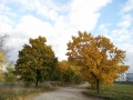 tmp_30692-seeherbst021058237435