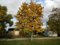 tmp_30692-seeherbst03-1050671361